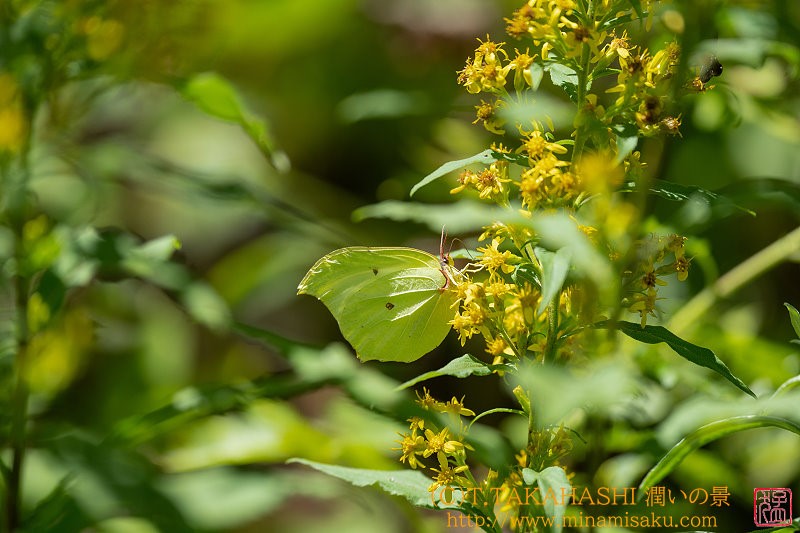 ../Images/7R240817 (224).jpg